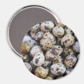 Kwartaaleieren Magneet (Voorkant / Achterkant)