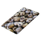 Kwartaaleieren Magneet (Linkerzijde)