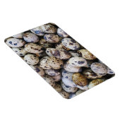 Kwartaaleieren Magneet (Rechterzijde)