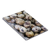 Kwartaaleieren Notitieboek (Rechterzijde)