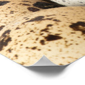 Kwartaaleieren Poster (Hoek)