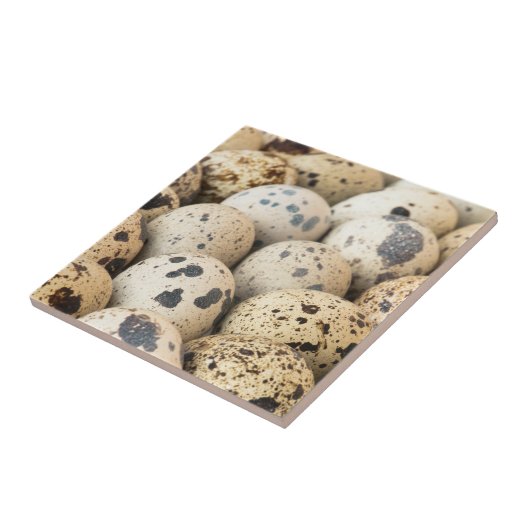 Kwartaaleieren Tegeltje (Zijkant)