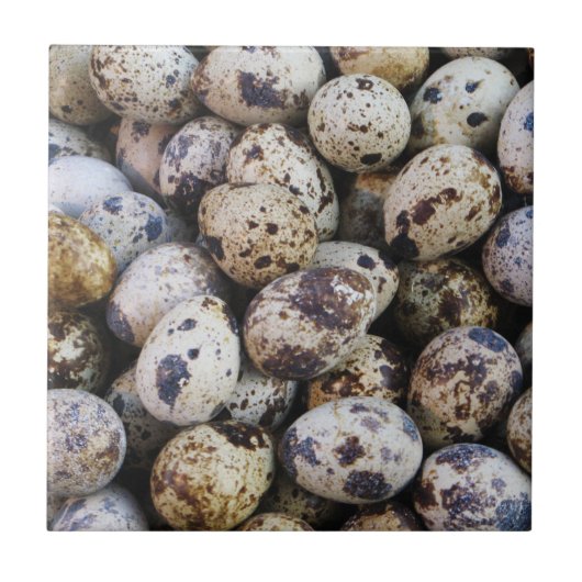 Kwartaaleieren Tegeltje (Voorkant)