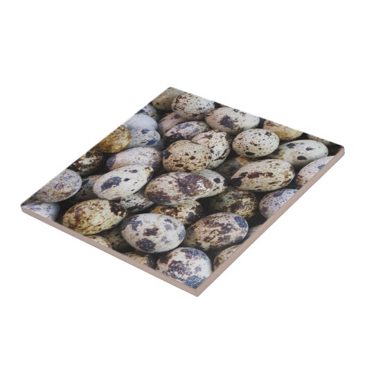 Kwartaaleieren Tegeltje (Zijkant)