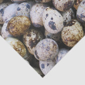 Kwartaaleieren Tissuepapier (Detail)