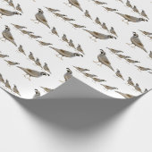 Kwartaalpapier uit de Californische Quail-reeks Cadeaupapier (Hoek)