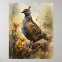 Kwartel Boerderij Animal Art Print Poster