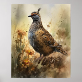 Kwartel Boerderij Animal Art Print Poster