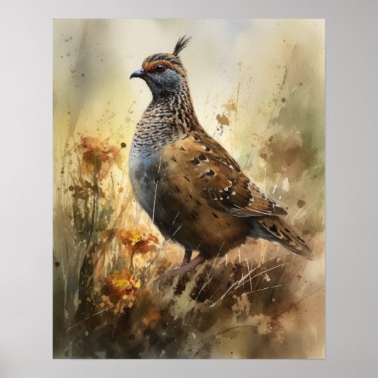 Kwartel Boerderij Animal Art Print Poster (Voorkant)