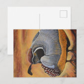 Kwartel Briefkaart (Voorkant / Achterkant)