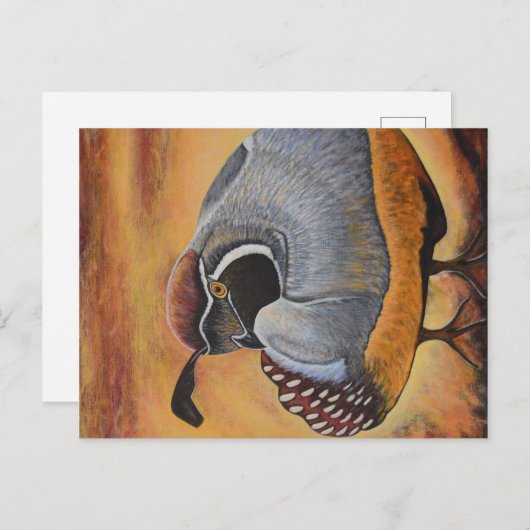 Kwartel Briefkaart (Voorkant / Achterkant)