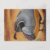 Kwartel Briefkaart (Voorkant)