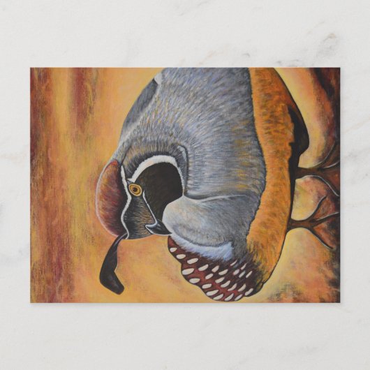 Kwartel Briefkaart (Voorkant)