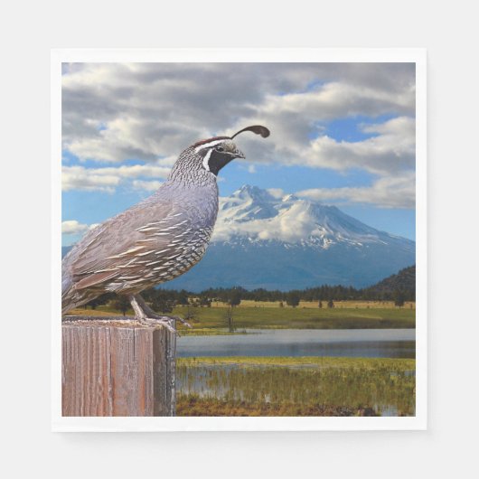 KWARTEL EN SHASTA SERVETTEN (Voorkant)