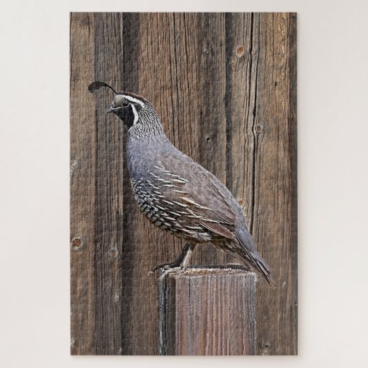 KWARTEL OP BARNWOOD LEGPUZZEL (Verticaal)