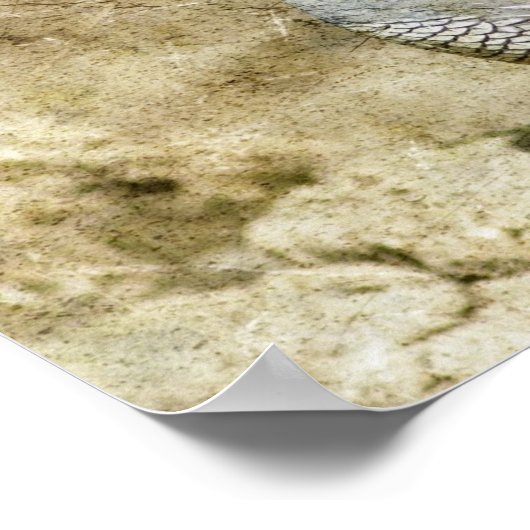 Kwartel Poster (Hoek)