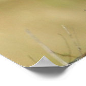 Kwartel Poster (Hoek)