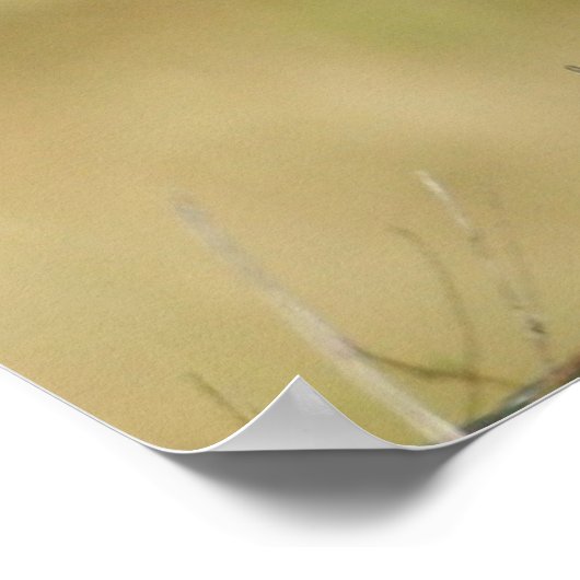 Kwartel Poster (Hoek)