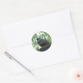 kwartel ronde sticker (Envelop)
