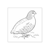 Kwartel Rubberstempel (Afrduk)