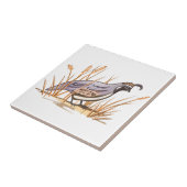 Kwartel Tegeltje (Zijkant)