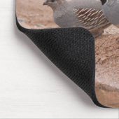 Kwartel van mannen en vrouw Gambel Muismat (Hoek)