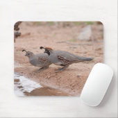 Kwartel van mannen en vrouw Gambel Muismat (Met muis)