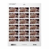 Kwarteleieren in Nest Etiket (Full Sheet)