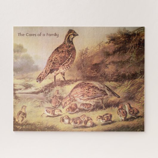 Kwartelfamilie Grote puzzel (500 stuks) (Horizontaal)