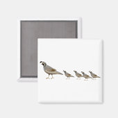 Kwartelfamilie magneet (Voorkant / Achterkant)