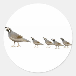 Kwartelfamilie Sticker
