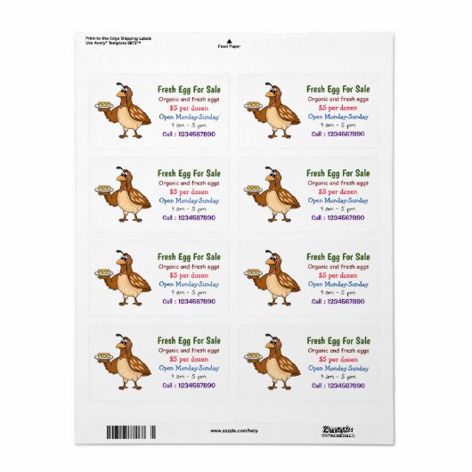 Kwartels met cartoon van vers ei voor verkoop etiket (Full Sheet)