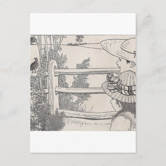 Kwartels op een spoor briefkaart (Voorkant)