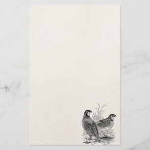kwartelvogels - Persoonlijke roofvogels Briefpapier