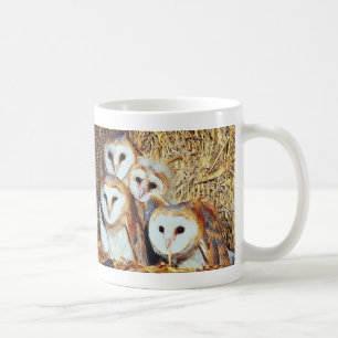 Kwartet Barn Owls Koffiemok