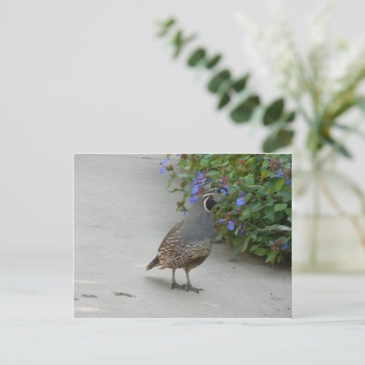 kwartier briefkaart (Staand voorkant)