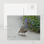 kwartier briefkaart (Voorkant / Achterkant)