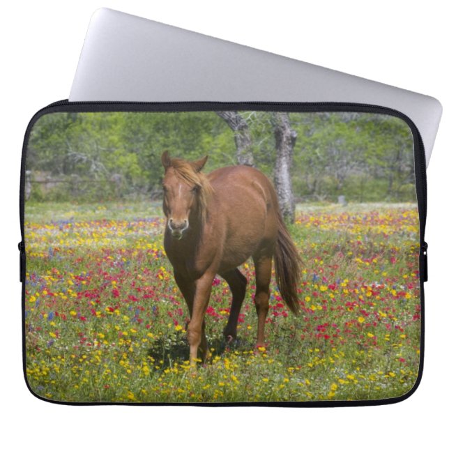 Kwartpaarden in het wild laptop sleeve (Voorkant)