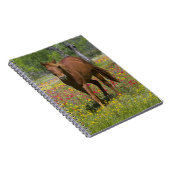 Kwartpaarden in het wild notitieboek (Rechterzijde)