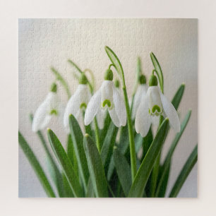 Kwassige Witte Sneeuwklokje Bloemen Lente Bloei Legpuzzel
