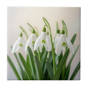 Kwassige Witte Sneeuwklokje Bloemen Lente Bloei Tegeltje