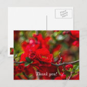 Kweeë Tak Schilderachtige Bedankkaart Briefkaart (Voorkant / Achterkant)