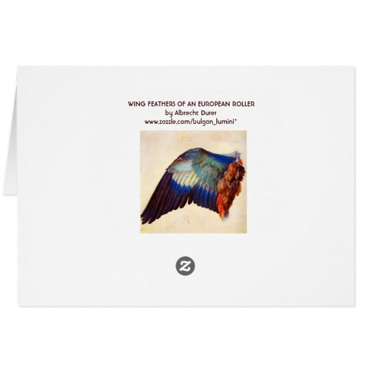 KWEEFSELS VAN EEN EUROPESE ROLLER (Achterkant Horizontaal)