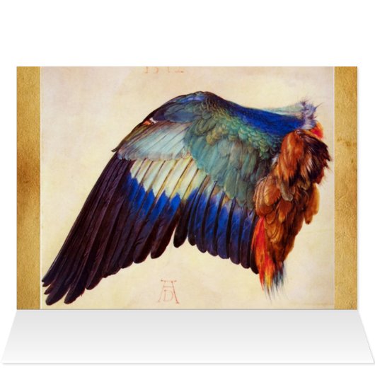 KWEEFSELS VAN EEN EUROPESE ROLLER (Binnen Horizontaal (Boven))