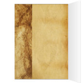 KWEEFSELS VAN EEN EUROPESE ROLLER (Binnen (Links))