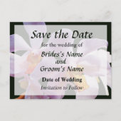 Kweek Delicate Roze Orchideeën Aankondigingskaart (Voorkant)