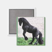 Kweek Friese magneet (Voorkant / Achterkant)