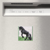 Kweek Friese magneet (Insitu (Vaatwasser))