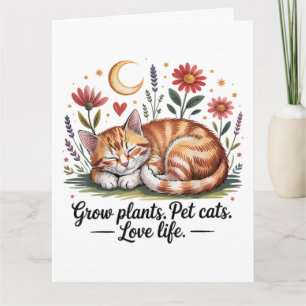 Kweek Planten Huisdieren Katten Liefhebben Leven S Kaart