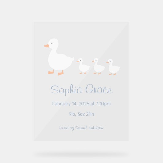 Kwekerij Decor Baby shower of Aankondigingsteken (Voorkant)